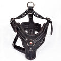 Adjustable Leather Dog Chest Strap