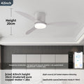 Modern Ceiling Fan with Light and Remote Control