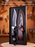 Damascus Steel Fruit Knife with Wood Handle