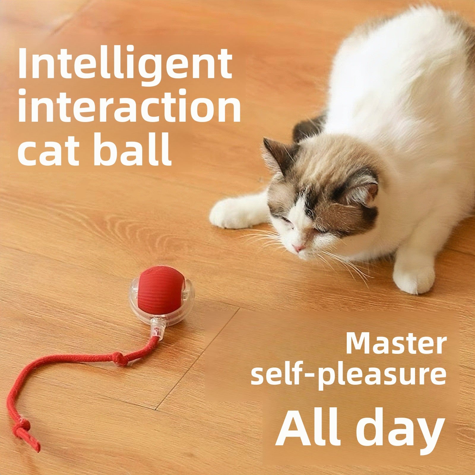 Cat Toy Smart Rolling Ball Self-Entertainment Interactive Pet Toy