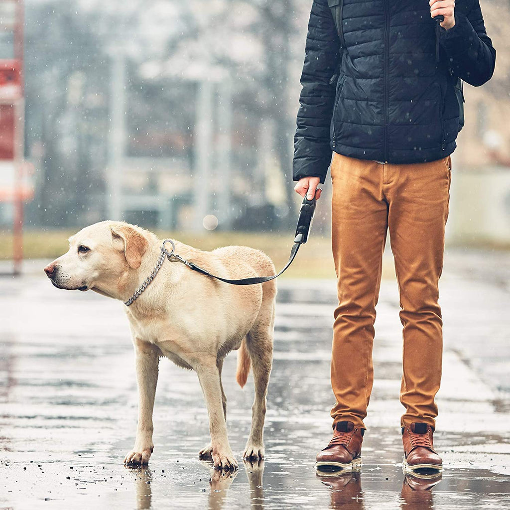 Pet Dog Chain Collar